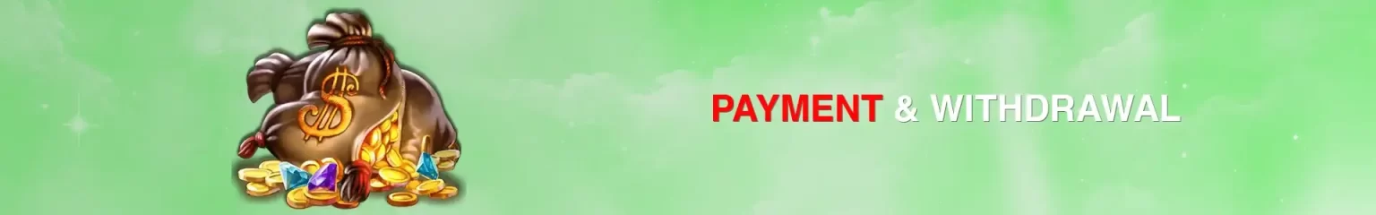 BDT222 Payment Withdrawal